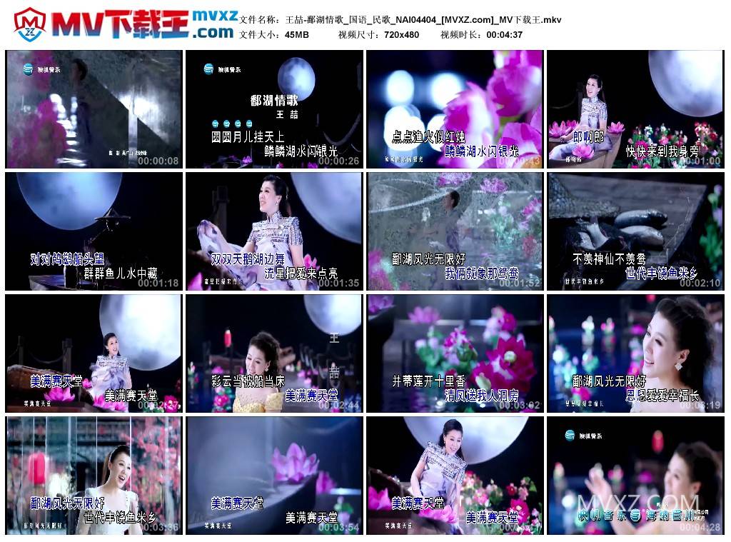 王喆-鄱湖情歌_国语_民歌_NAI04404